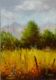 Champ d'été - Paysages 2 - petits formats